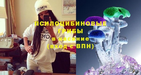 бутират Гусиноозёрск