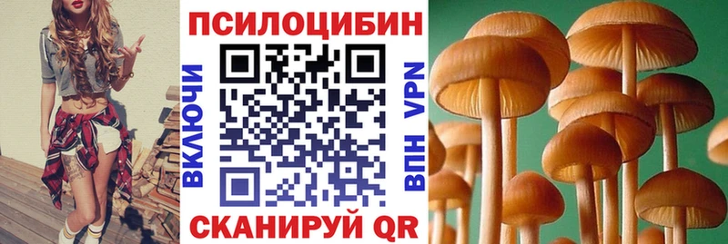 Псилоцибиновые грибы Cubensis  Дегтярск 